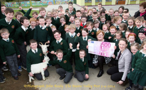 Great excitement at Scartaglin National School on Thursday as teacher Eileen O'Connor (right) and Bóthar representative, Breda Bucke supervise the presentation of two goats to the charity. ©Photograph: John Reidy 3-4-2014