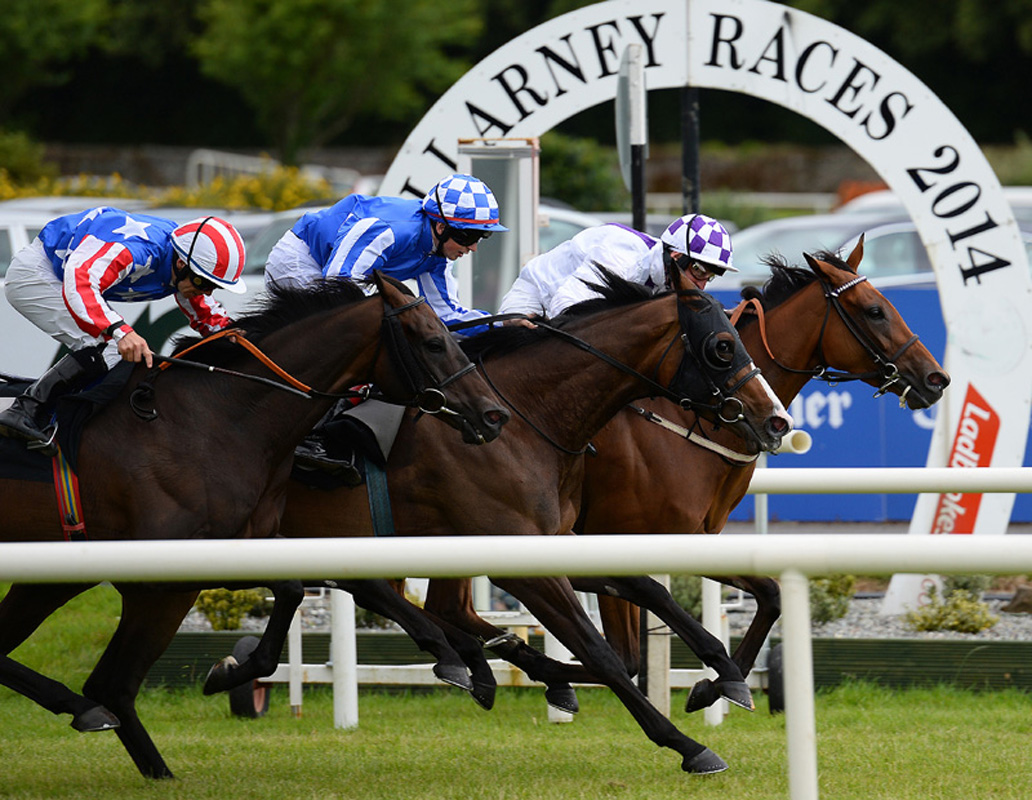It’s Dawn Milk Ladies Day in Killarney The Maine Valley Post