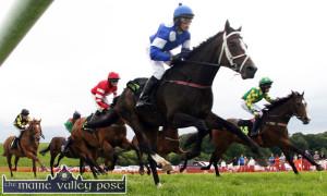 Action switches to Abbeyfeale Races at Relihan's Inch on Sunday ???©Photograph:  John Reidy