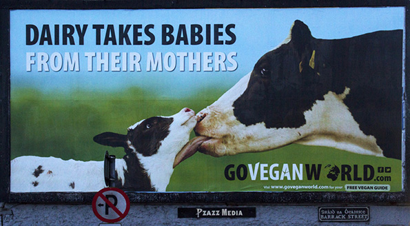 Vegan-Billboard-1.jpg